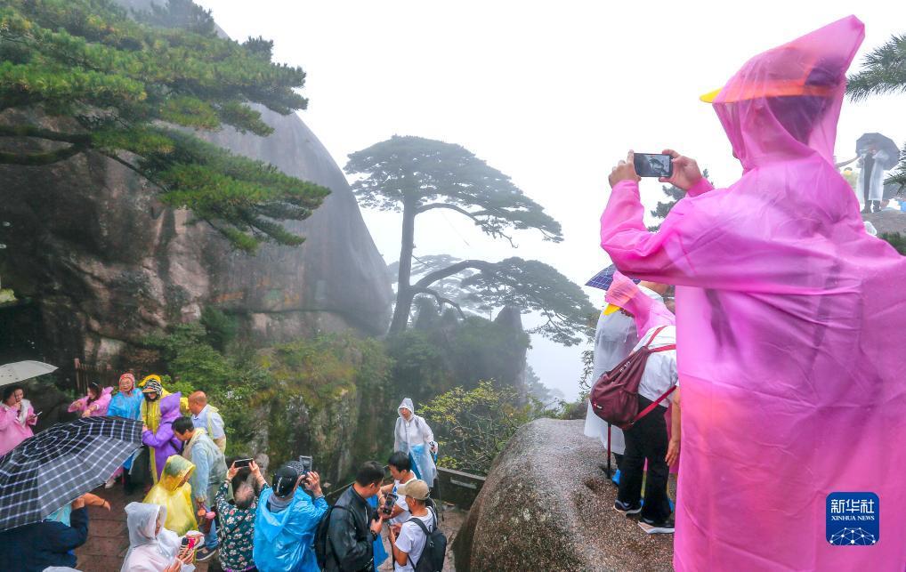 世界网络十大赌场